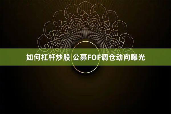 如何杠杆炒股 公募FOF调仓动向曝光