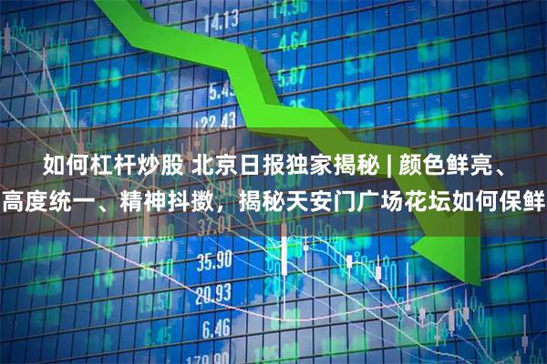 如何杠杆炒股 北京日报独家揭秘 | 颜色鲜亮、高度统一、精神抖擞，揭秘天安门广场花坛如何保鲜