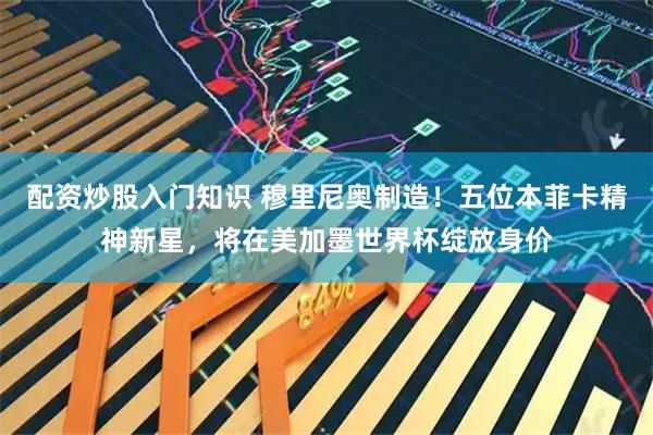 配资炒股入门知识 穆里尼奥制造！五位本菲卡精神新星，将在美加墨世界杯绽放身价