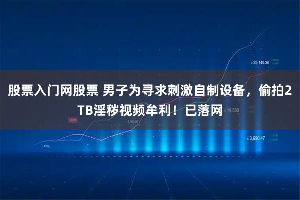 股票入门网股票 男子为寻求刺激自制设备，偷拍2TB淫秽视频牟利！已落网