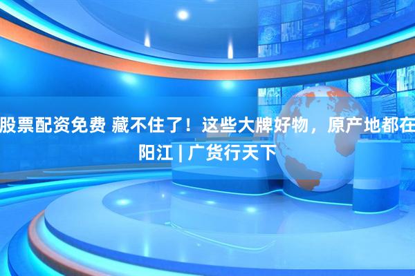 股票配资免费 藏不住了!这些大牌好物,原产地都在阳江 | 广货行天下